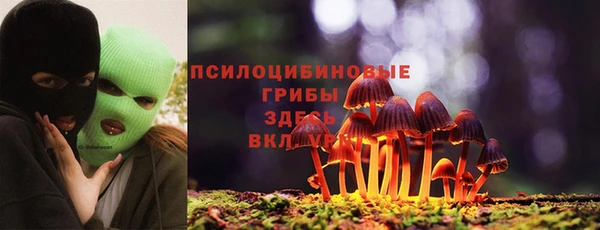 соль ск Алексеевка