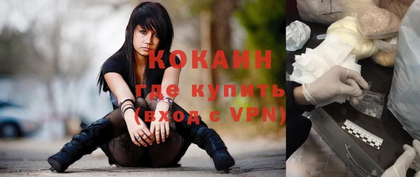 дживик Абаза