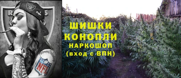 индика Абдулино