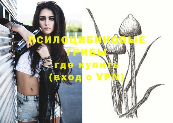 соль ск Алексеевка