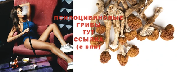 дживик Абаза
