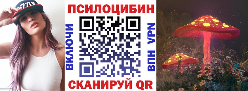 дарнет шоп  Краснозаводск  omg   Галлюциногенные грибы MAGIC MUSHROOMS 